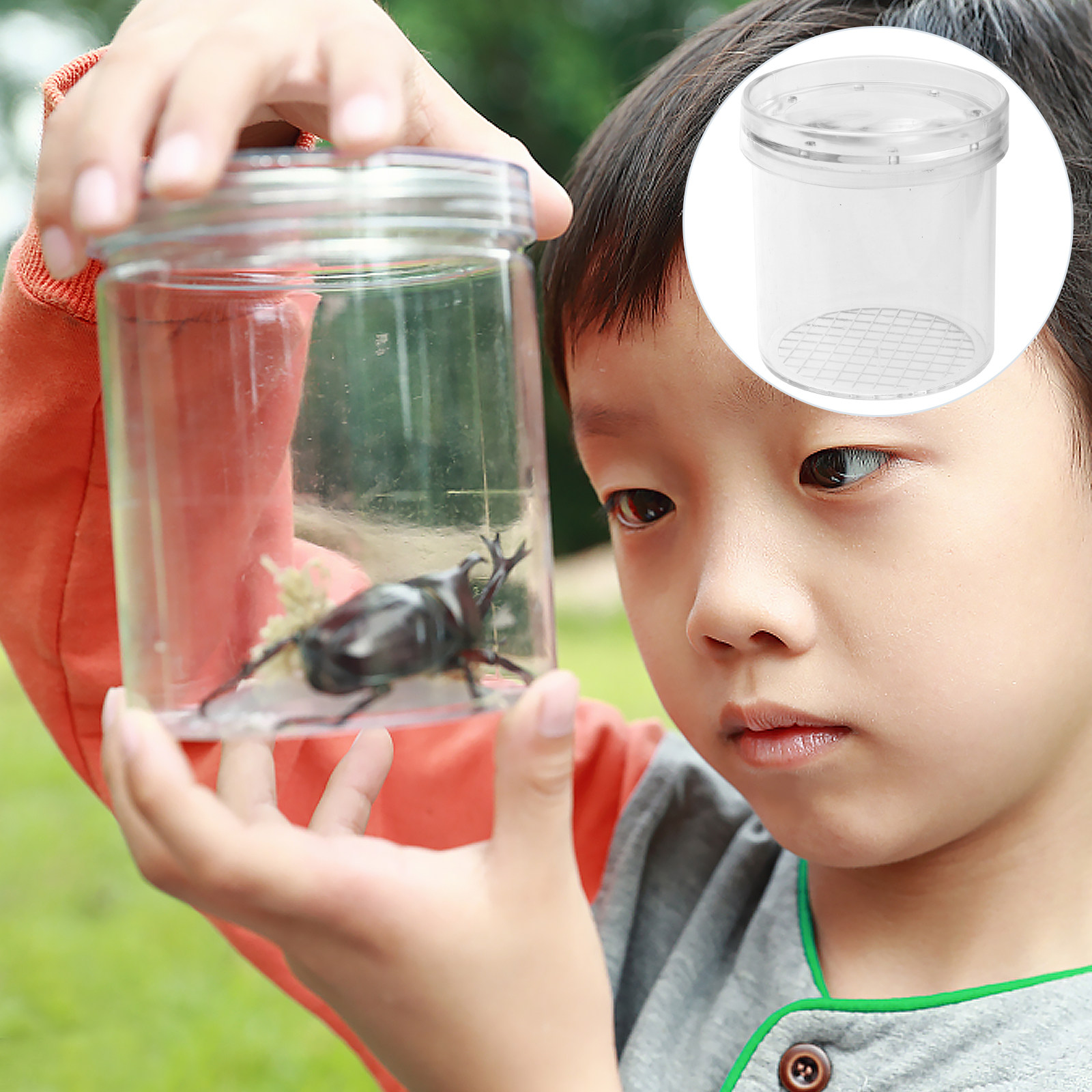 5Pcs Insect Observation Box Ki - Science Toys avis et prix