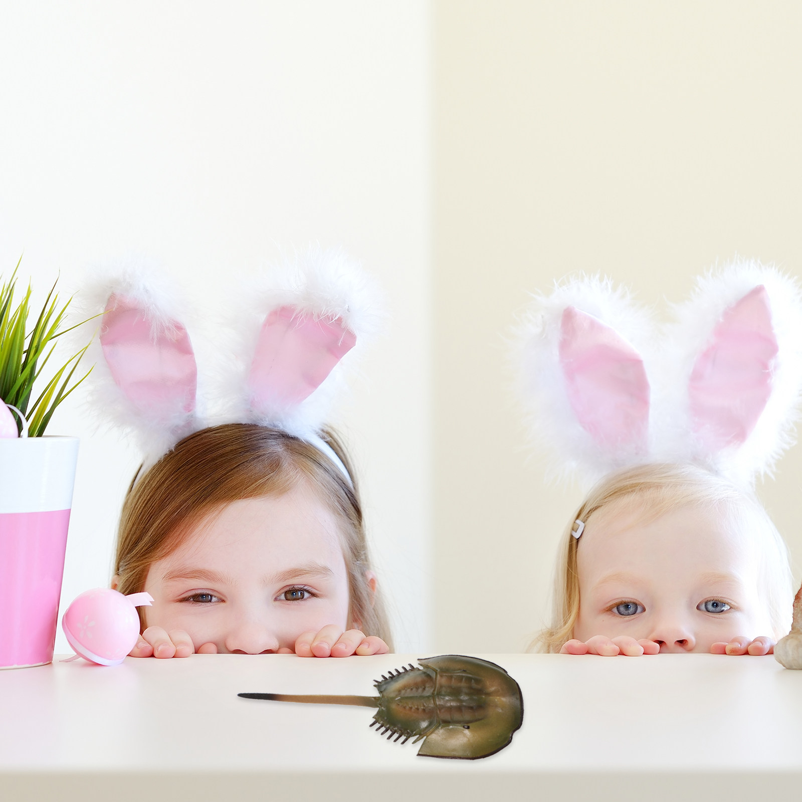 1Set Horseshoe Growth Cycle Sc - Science Nursery avis et prix