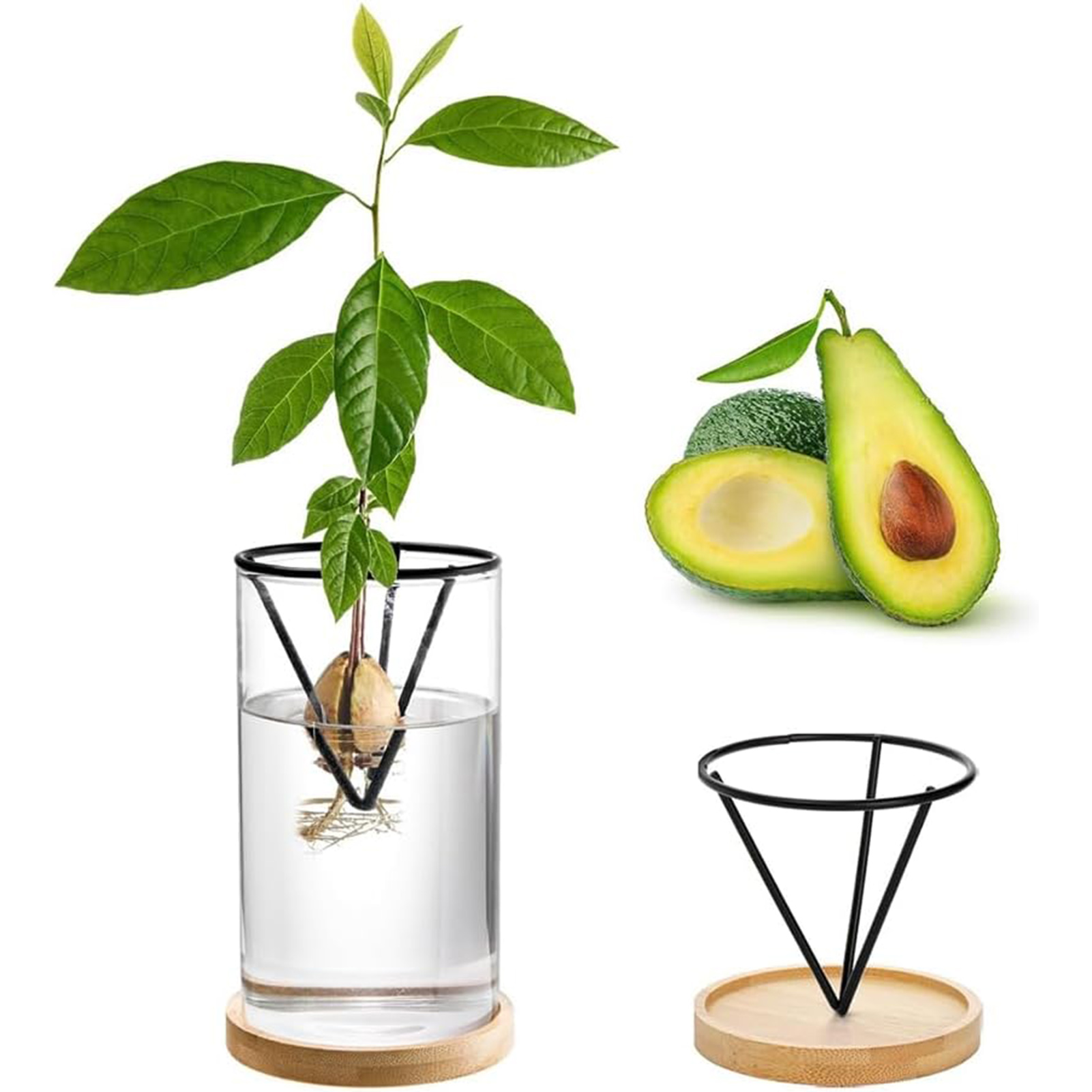 1Set Avocado Tree Growing Kits - Crystal Growing Kit avis et prix
