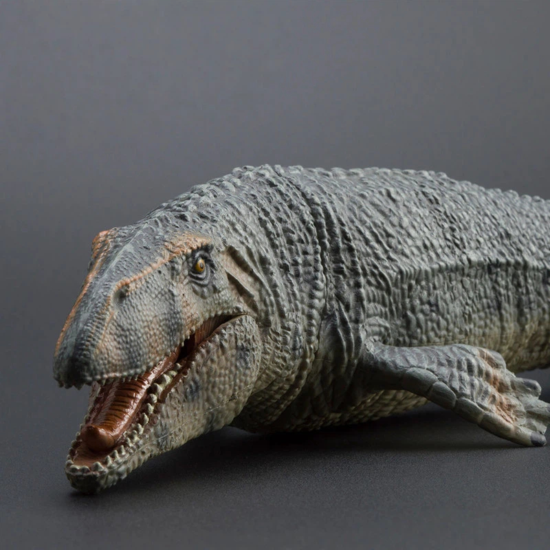 PROG Large Simulated Prognatho - Science Toys avis et prix