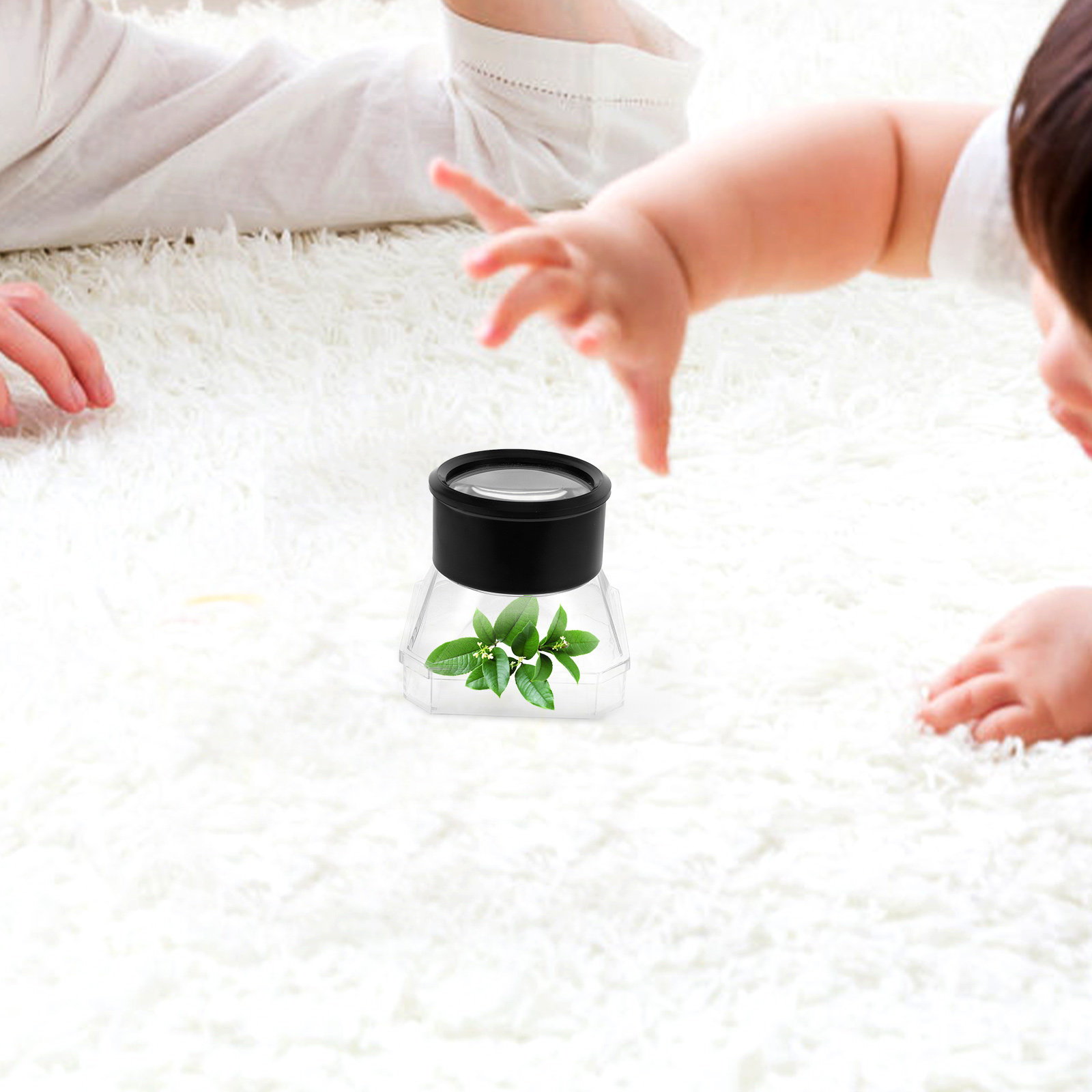2Pcs Insect Magnifier Box Plas - Science Toys avis et prix