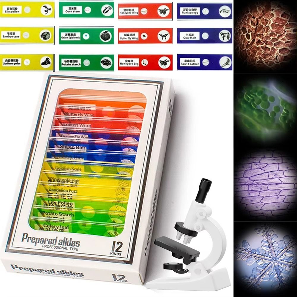 1Pcs 60-120X Pocket Microscope - Science Max avis et prix