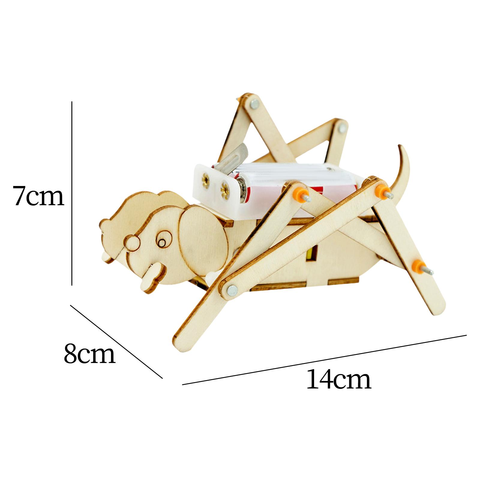DIY Wooden Model Set Science K - Science Project Toys Making avis et prix