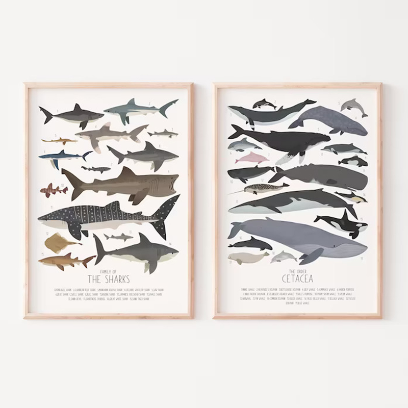 Deep-Sea Fish and Sharks Scien - Science Nursery avis et prix