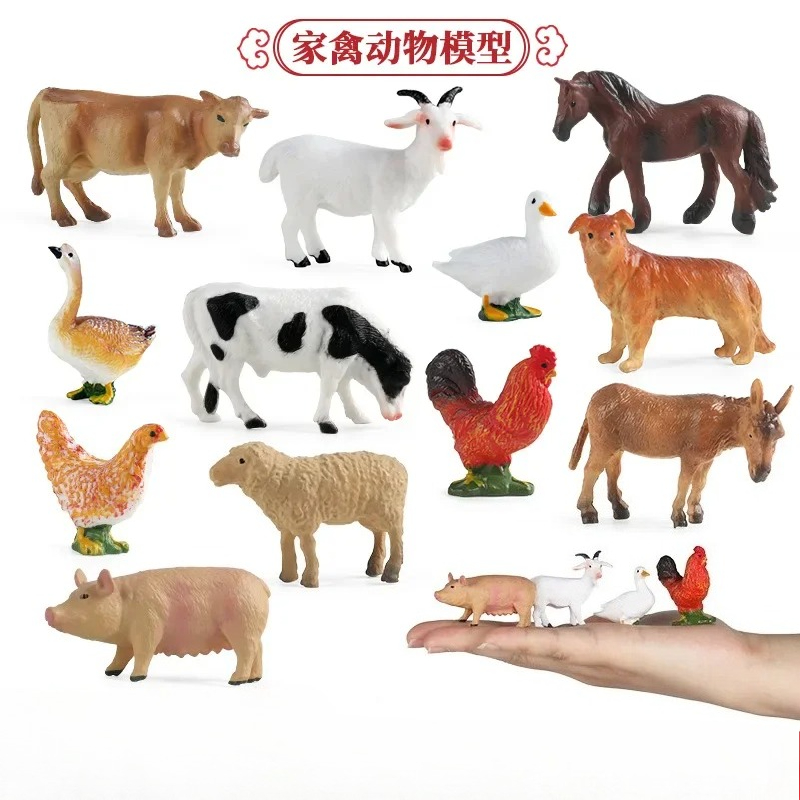 Education Teaching Tool Poultr - Science Toys avis et prix
