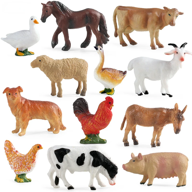 Education Teaching Tool Poultr - Science Toys avis et prix